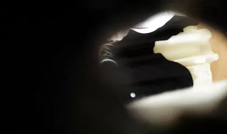 Người thổi phim sex girl xinh nhật bản kèn