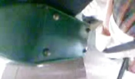 Anya phim sex nhật đẹp Olsen gái với một con chó sói