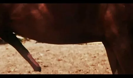 Bắn gái tuyệt vời trước máy quay phim sex gái đẹp nhật bản