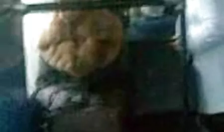 Ngựa đen ray sex nhat xinh